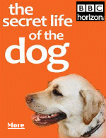 We have an extraordinary relationship with dogs � closer than with any other animal on the planet.